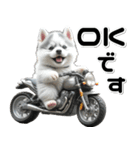 敬語♡バイク好き シベリアンハスキー（個別スタンプ：7）