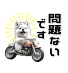 敬語♡バイク好き シベリアンハスキー（個別スタンプ：8）