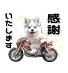 敬語♡バイク好き シベリアンハスキー（個別スタンプ：10）