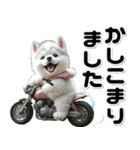 敬語♡バイク好き シベリアンハスキー（個別スタンプ：12）