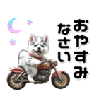 敬語♡バイク好き シベリアンハスキー（個別スタンプ：16）