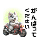 敬語♡バイク好き シベリアンハスキー（個別スタンプ：17）