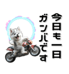 敬語♡バイク好き シベリアンハスキー（個別スタンプ：18）