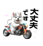 敬語♡バイク好き シベリアンハスキー（個別スタンプ：20）