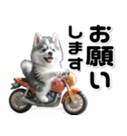 敬語♡バイク好き シベリアンハスキー（個別スタンプ：21）