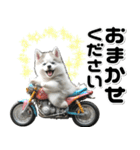 敬語♡バイク好き シベリアンハスキー（個別スタンプ：22）