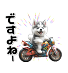 敬語♡バイク好き シベリアンハスキー（個別スタンプ：23）