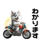 敬語♡バイク好き シベリアンハスキー（個別スタンプ：24）