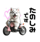 敬語♡バイク好き シベリアンハスキー（個別スタンプ：27）