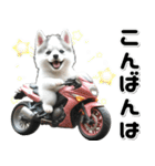 敬語♡バイク好き シベリアンハスキー（個別スタンプ：30）