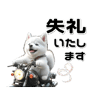 敬語♡バイク好き シベリアンハスキー（個別スタンプ：32）