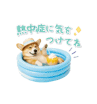 ▶動く癒しコーギーの「夏」の毎日（個別スタンプ：17）