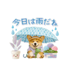 ▶動く癒しコーギーの「夏」の毎日（個別スタンプ：21）