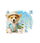 ▶動く癒しコーギーの「夏」の毎日（個別スタンプ：24）
