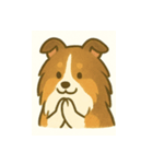 シェルティの普通の1日（個別スタンプ：2）
