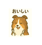 シェルティの普通の1日（個別スタンプ：3）