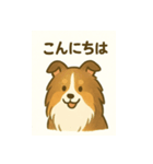 シェルティの普通の1日（個別スタンプ：6）