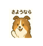 シェルティの普通の1日（個別スタンプ：8）