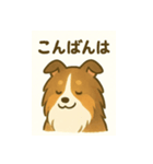 シェルティの普通の1日（個別スタンプ：9）