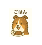 シェルティの普通の1日（個別スタンプ：11）