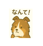 シェルティの普通の1日（個別スタンプ：12）