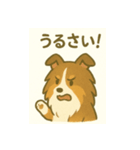 シェルティの普通の1日（個別スタンプ：14）
