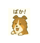 シェルティの普通の1日（個別スタンプ：15）
