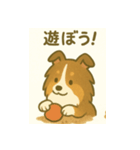 シェルティの普通の1日（個別スタンプ：16）