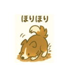 シェルティの普通の1日（個別スタンプ：20）