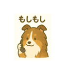 シェルティの普通の1日（個別スタンプ：21）