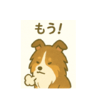 シェルティの普通の1日（個別スタンプ：23）