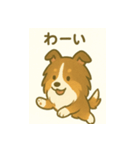 シェルティの普通の1日（個別スタンプ：26）