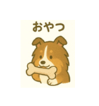 シェルティの普通の1日（個別スタンプ：27）