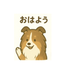 シェルティの普通の1日（個別スタンプ：29）