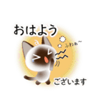 色々な猫4-1 短毛-立ち耳-シャム（個別スタンプ：2）