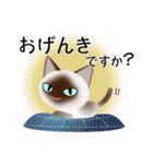 色々な猫4-1 短毛-立ち耳-シャム（個別スタンプ：4）
