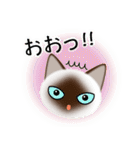 色々な猫4-1 短毛-立ち耳-シャム（個別スタンプ：10）