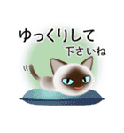 色々な猫4-1 短毛-立ち耳-シャム（個別スタンプ：12）