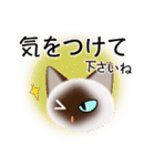 色々な猫4-1 短毛-立ち耳-シャム（個別スタンプ：14）