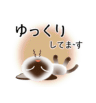 色々な猫4-1 短毛-立ち耳-シャム（個別スタンプ：18）