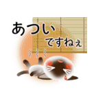 色々な猫4-1 短毛-立ち耳-シャム（個別スタンプ：21）