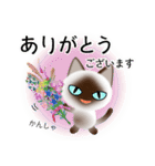 色々な猫4-1 短毛-立ち耳-シャム（個別スタンプ：31）