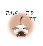 色々な猫4-1 短毛-立ち耳-シャム（個別スタンプ：32）