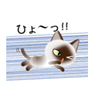 色々な猫4-1 短毛-立ち耳-シャム（個別スタンプ：34）