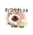色々な猫4-1 短毛-立ち耳-シャム（個別スタンプ：40）