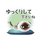 色々な猫4-2 短毛-垂れ耳-シャム（個別スタンプ：12）