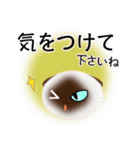 色々な猫4-2 短毛-垂れ耳-シャム（個別スタンプ：14）