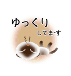 色々な猫4-2 短毛-垂れ耳-シャム（個別スタンプ：18）