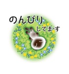 色々な猫4-2 短毛-垂れ耳-シャム（個別スタンプ：19）