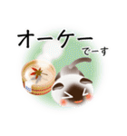 色々な猫4-2 短毛-垂れ耳-シャム（個別スタンプ：28）